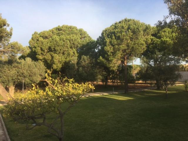 Villa Torrealta, 4000 M2 Cadiz Dış mekan fotoğraf