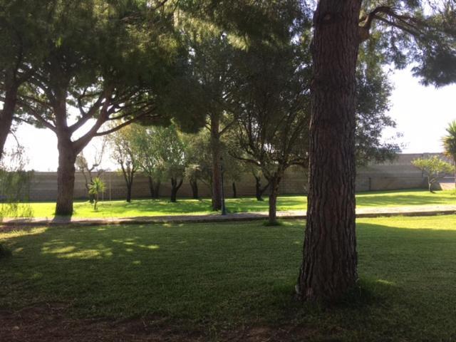 Villa Torrealta, 4000 M2 Cadiz Dış mekan fotoğraf