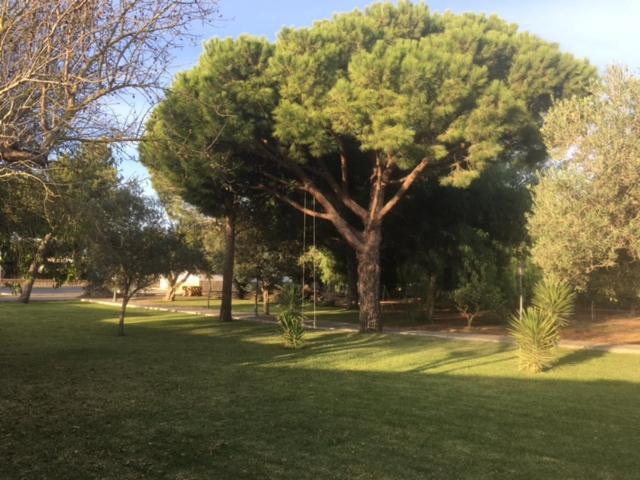 Villa Torrealta, 4000 M2 Cadiz Dış mekan fotoğraf