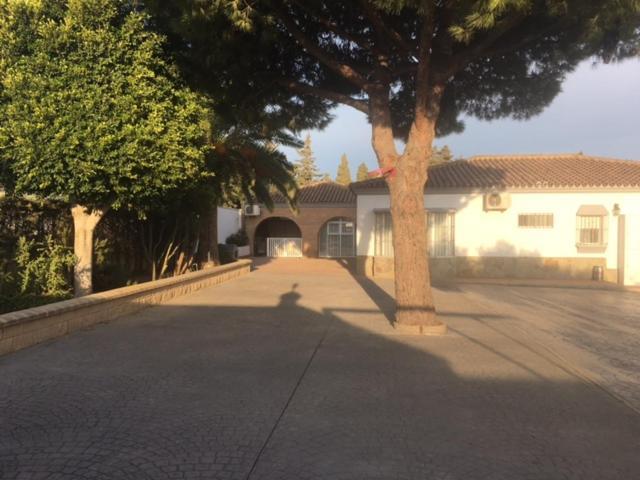 Villa Torrealta, 4000 M2 Cadiz Dış mekan fotoğraf