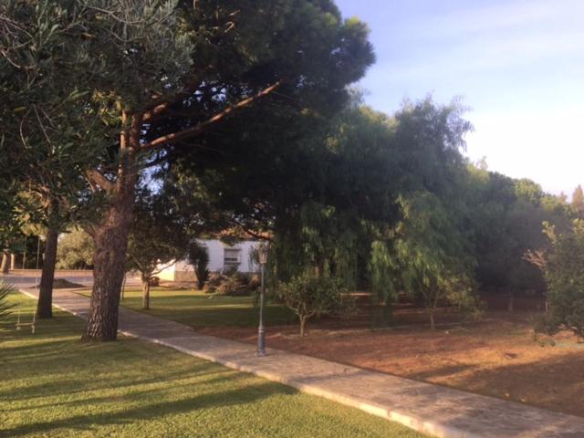 Villa Torrealta, 4000 M2 Cadiz Dış mekan fotoğraf